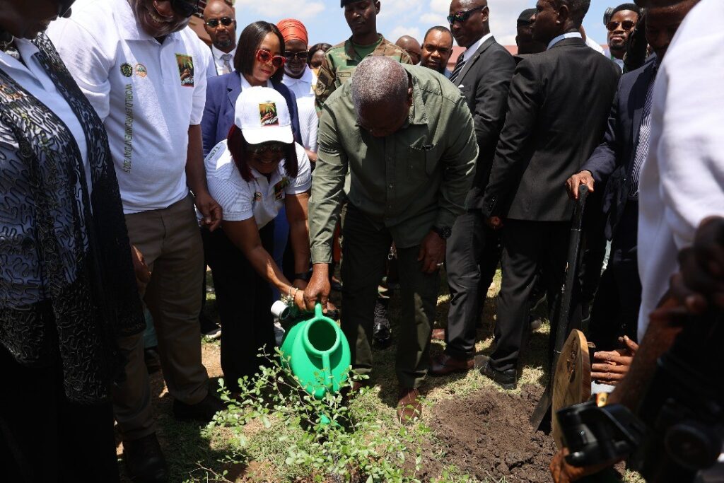 tree planting