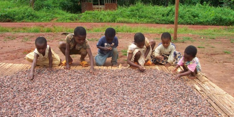 Statement by Ghana Cocoa Board on the Occasion of the World Day Against Child Labour 2026