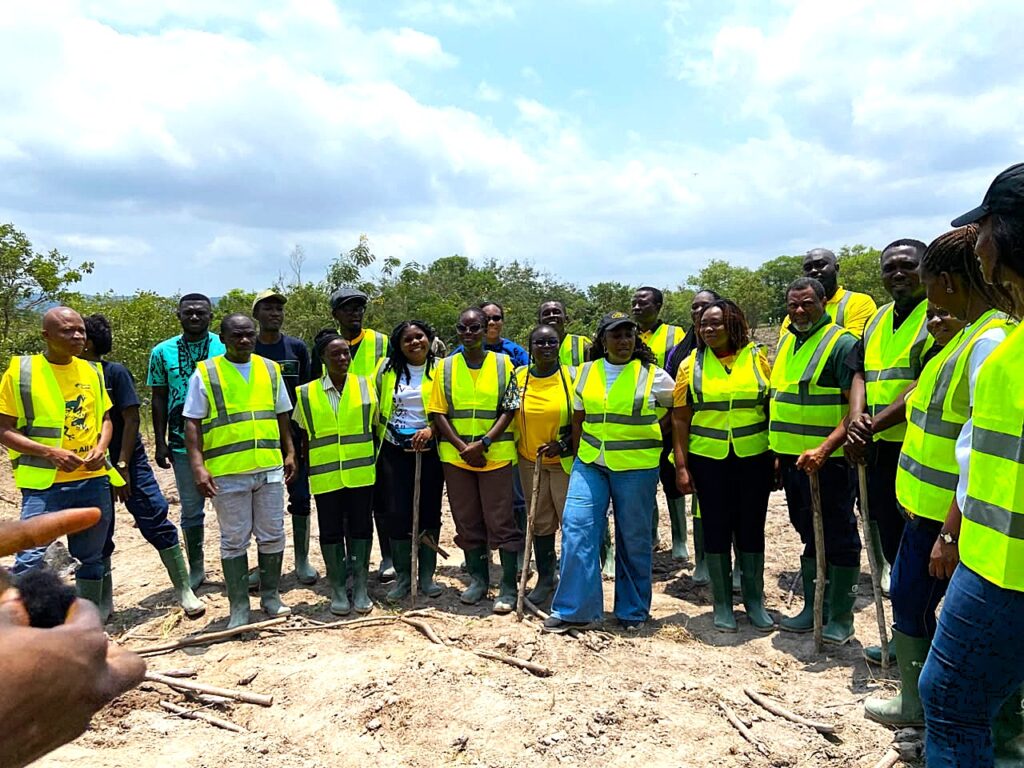 MTN Ghana Plants 1,666 Trees to Restore Chipa Forest Reserve