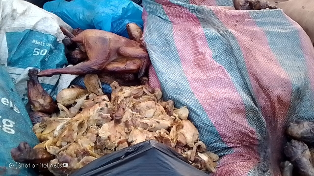 Mystery Chicken Dump Sparks Contamination Fears in Ho