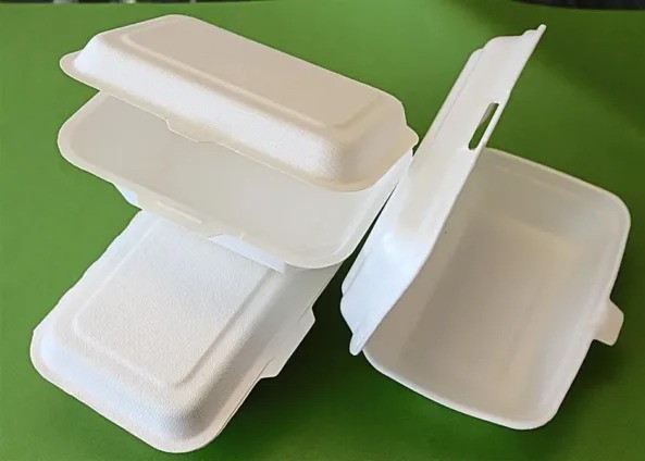 Beyond the Styrofoam Ban: Can Ghana balance affordability, innovation and the fight against plastic pollution?