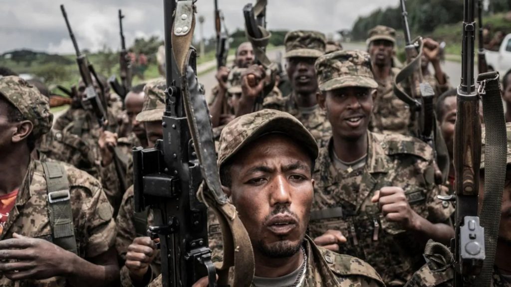 Ethiopian army advances in Tigray amid growing regional spillover concerns
